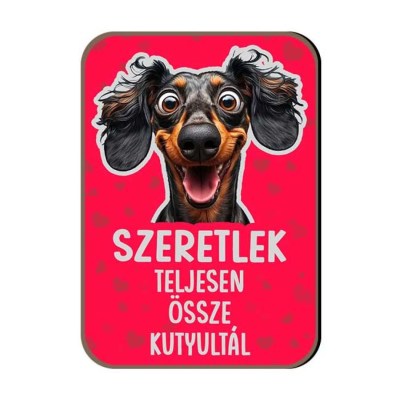 Hutomagnes Valentin Napi Ajandek 154 Teljesen Osszekutyultal Tacskos Hutomagnes